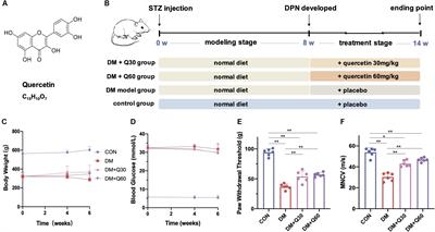 Quercetin Attenuates Diabetic Peripheral Neuropathy by Correcting Mitochondrial Abnormality via Activation of AMPK/PGC-1α Pathway in vivo and in vitro